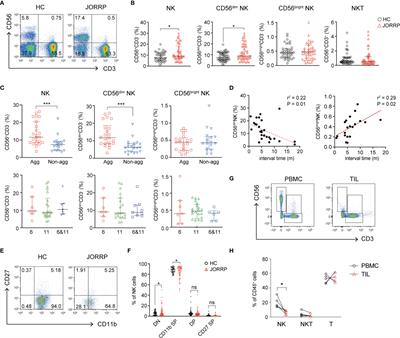 Reduced NK Cell Cytotoxicity by Papillomatosis-Derived TGF-β Contributing to Low-Risk HPV Persistence in JORRP Patients